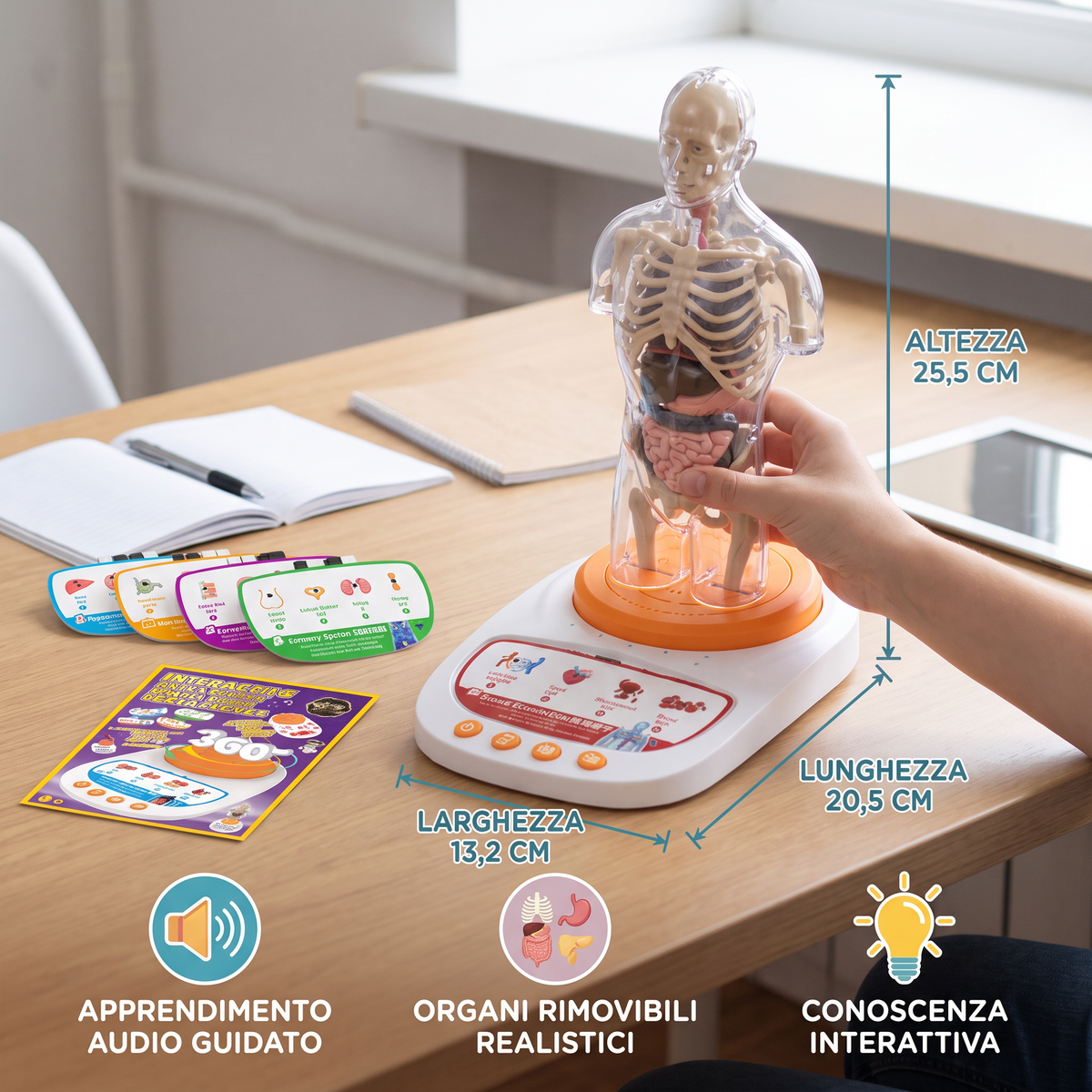 Modello Anatomico Interattivo Parlante con Organi Rimovibili e Apprendimento Guidato dall’Audio
