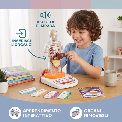 Modello Anatomico Interattivo Parlante con Organi Rimovibili e Apprendimento Guidato dall’Audio