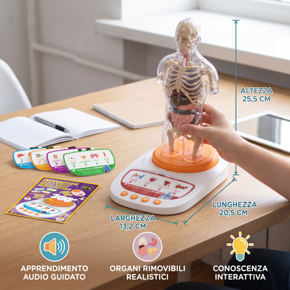 Modello Anatomico Interattivo Parlante con Organi Rimovibili e Apprendimento Guidato dall’Audio