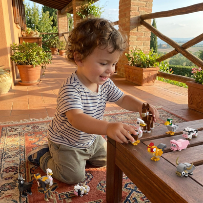 Set di Costruzioni con Animali