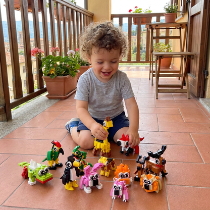 Set di Costruzioni con Animali